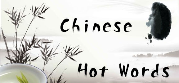 How Well Do You Really Know Modern Chinese Hot Words? (Quiz)