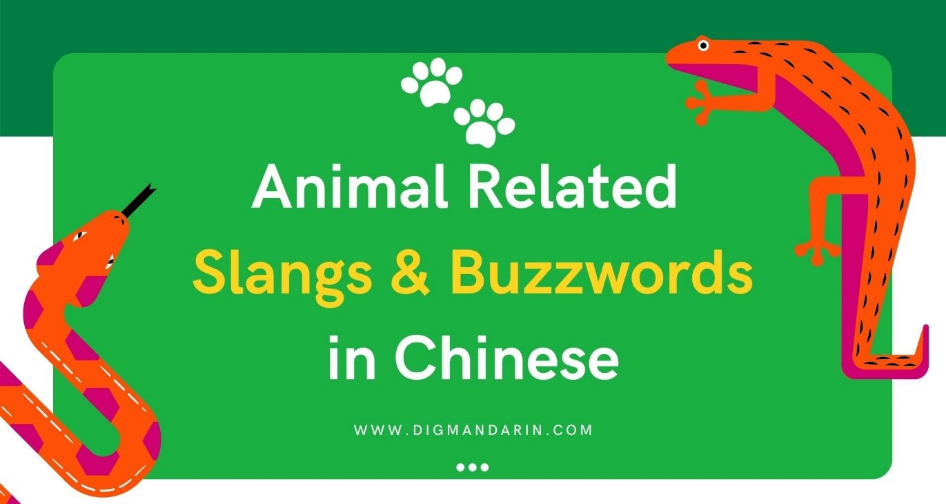 Everyday Animal Related Slangs and Buzzwords in Chinese