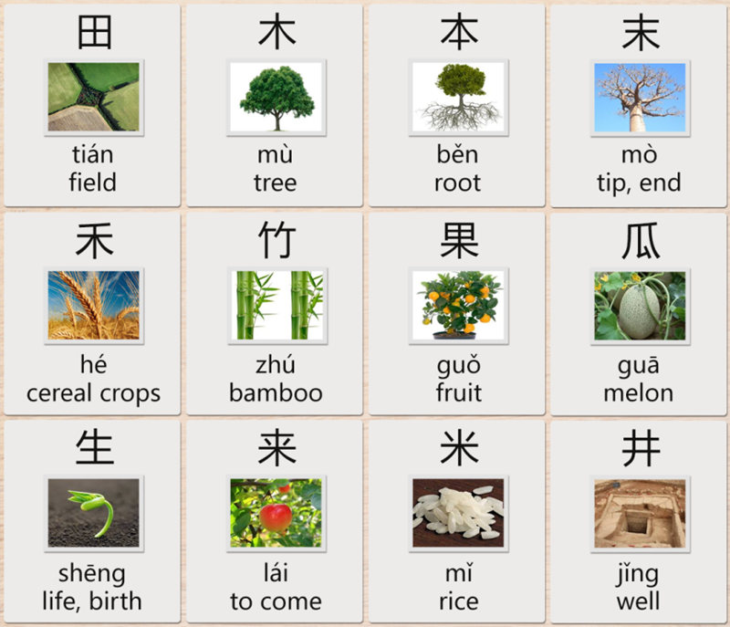 farm in chinese