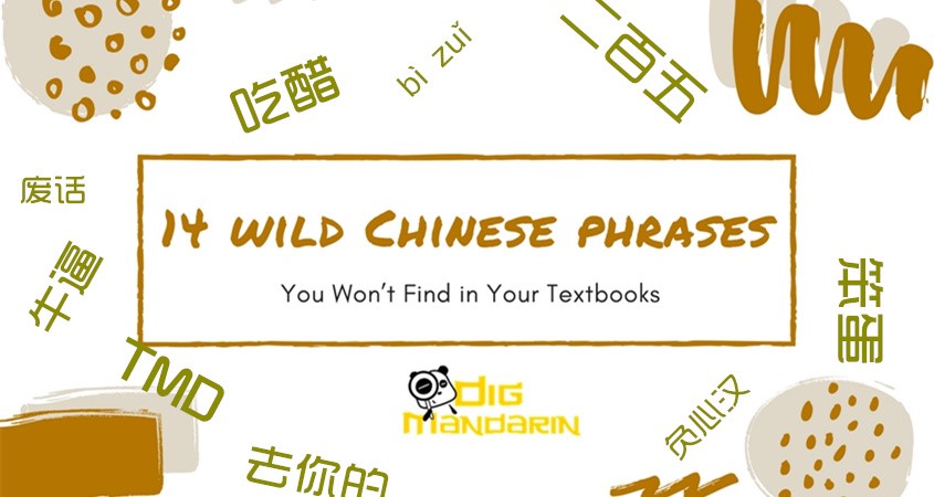 14 “Wild Chinese Phrases” You Won’t Find in Your Textbooks