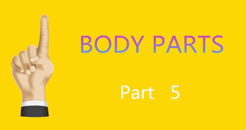 Learn Chinese Vocabulary in an Easy Way – Body part 5