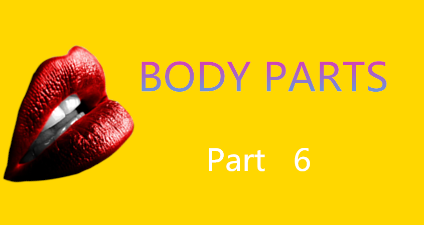 Learn Chinese Vocabulary in an Easy Way – Body part 6
