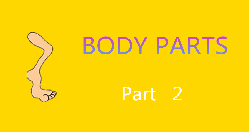 Learn Chinese Vocabulary in an Easy Way – Body part 2