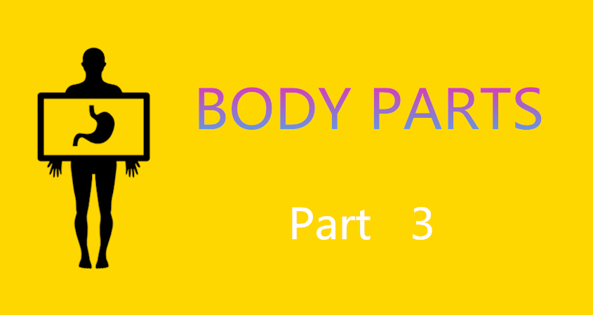 Learn Chinese Vocabulary in an Easy Way – Body part 3