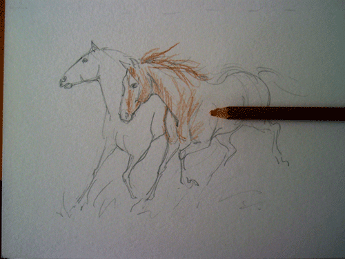 caballo